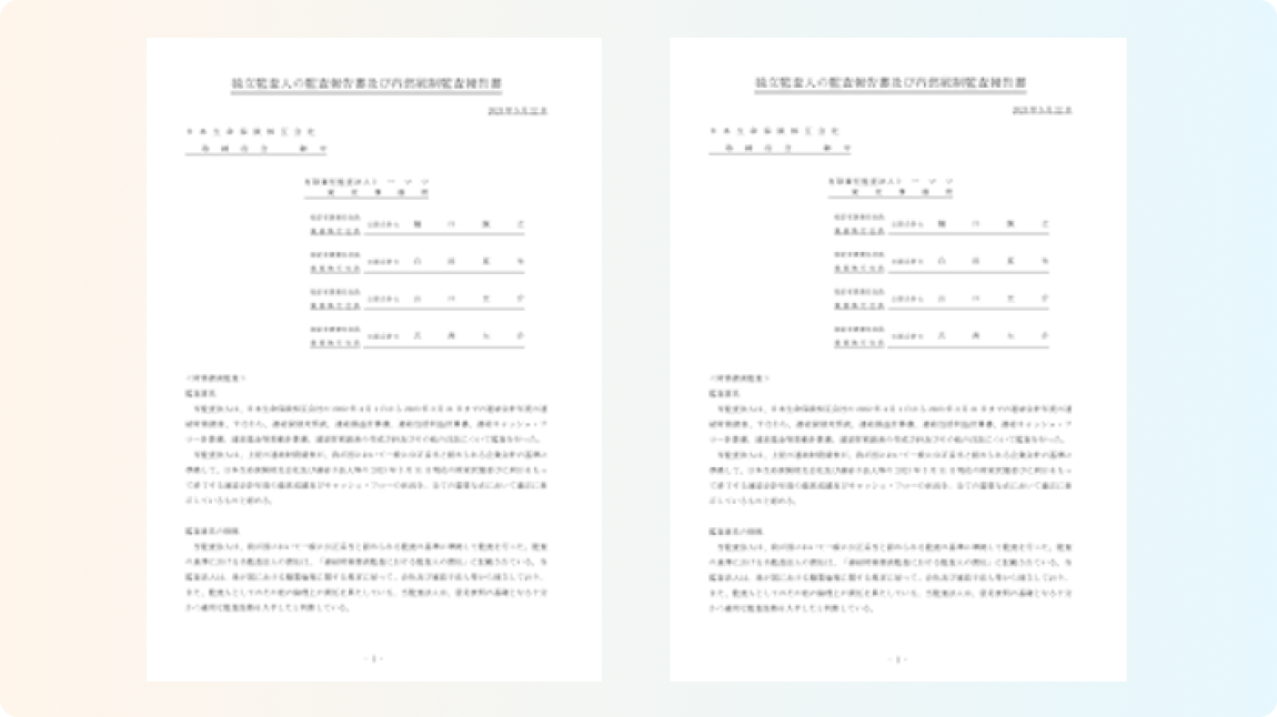 独立監査法人による監査